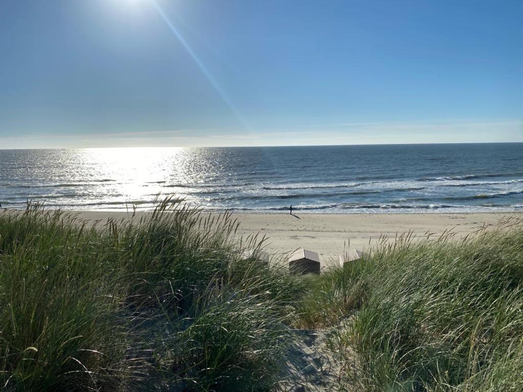 Beachhouses Texel デ・コーフ エクステリア 写真