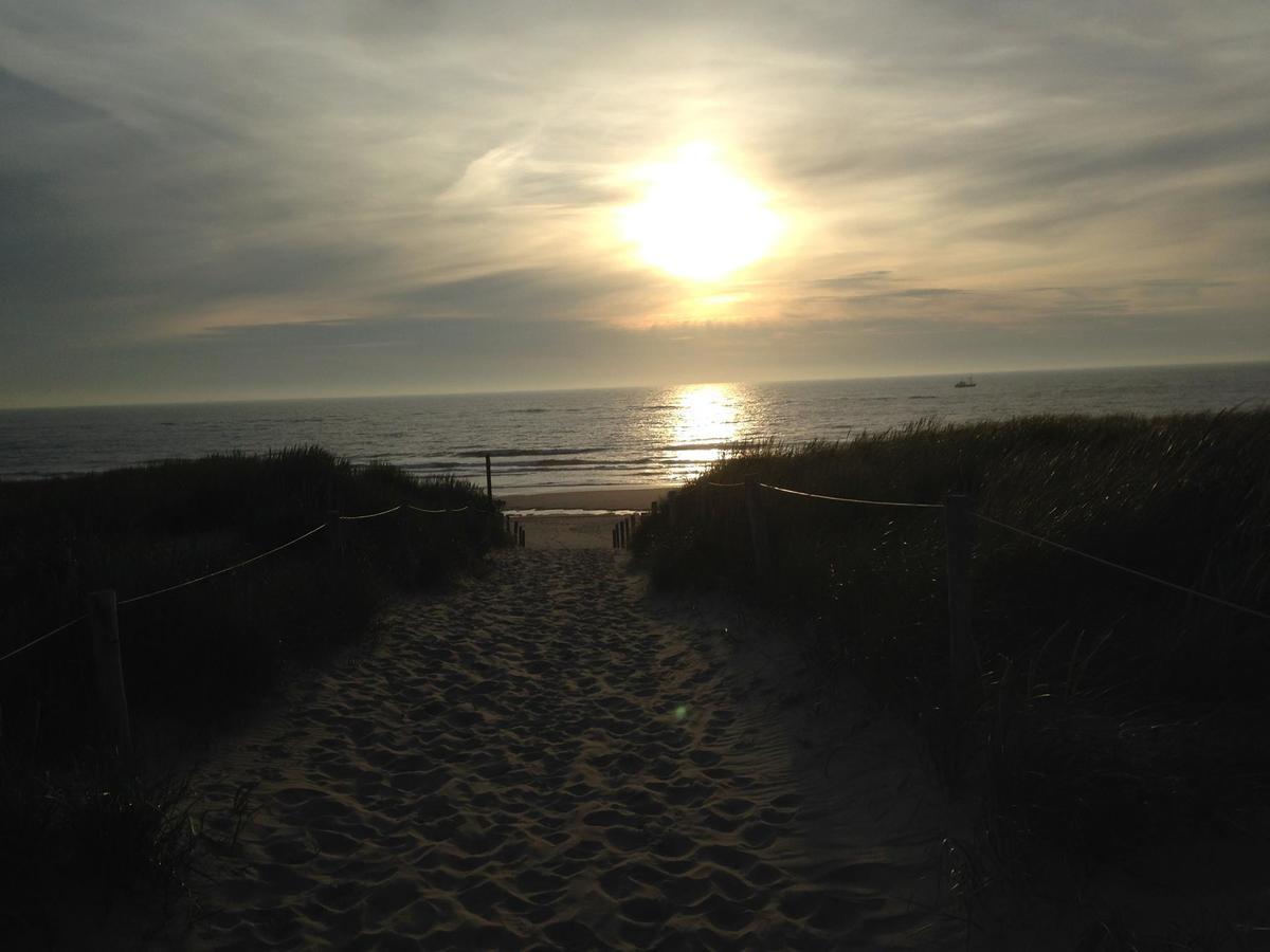 Beachhouses Texel デ・コーフ エクステリア 写真