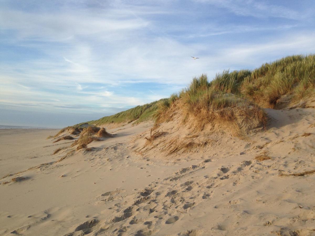 Beachhouses Texel デ・コーフ エクステリア 写真