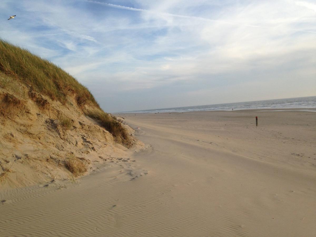 Beachhouses Texel デ・コーフ エクステリア 写真